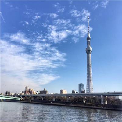 拾梦之境手游下载